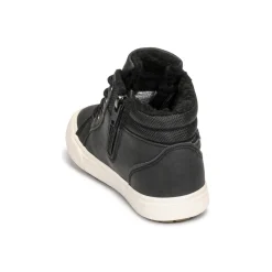 Kangaroos - KAVU I