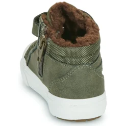 Kangaroos - Kavu III