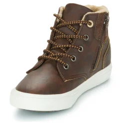 Kangaroos - Kavu X