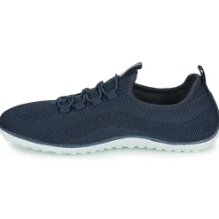 Kangaroos - K-BF Bole