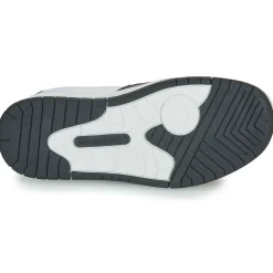 Kangaroos - K-CP Fair EV