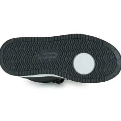 Kangaroos - K-CP Kalley II EV