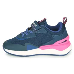 Kangaroos - KD-GYM EV