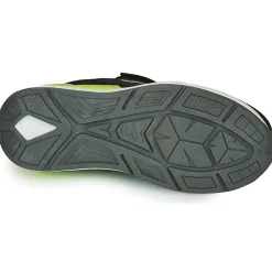 Kangaroos - KD-GYM EV