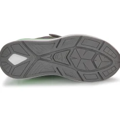 Kangaroos - KD-Gym EV
