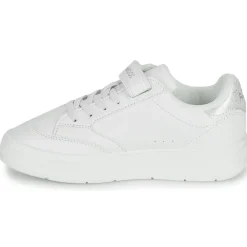 Kangaroos - K-GK Ready EV