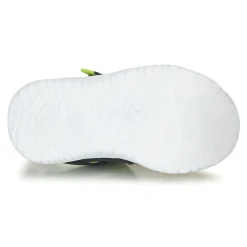 Kangaroos - KI-ROCK LITE EV