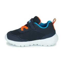 Kangaroos - KY-LILO EV