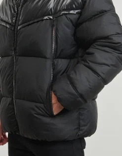 Kaporal - BIVY