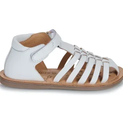 Kickers - KICK DILOLA