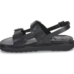 Kickers - NEOSUMMER