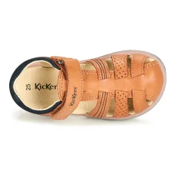 Kickers - PLATINIUM