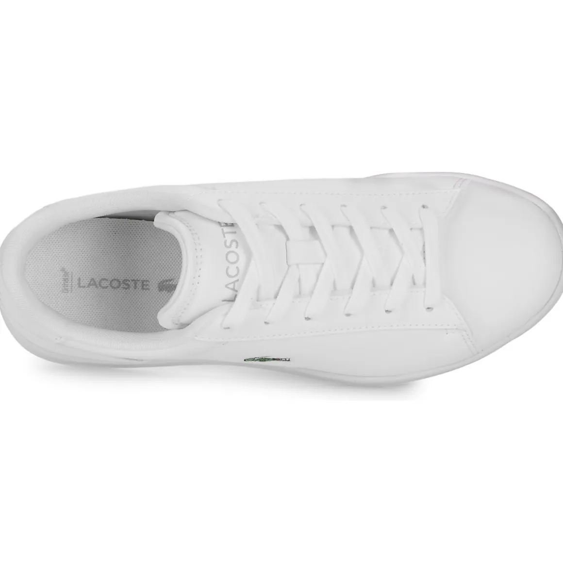 Lacoste - CARNABY