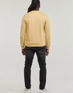 Lacoste - SH9608