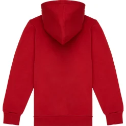 Levi's - BATWING SCREENPRINT HOODIE