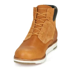 Levi's - JAX PLUS