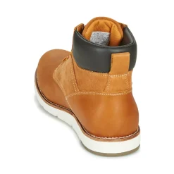 Levi's - JAX PLUS