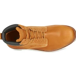 Levi's - JAX PLUS