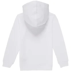 Levi's - PALM BATWING FILL HOODIE