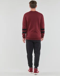 Lyle & Scott - ML1781SP