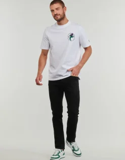 Lyle & Scott - TS2105V