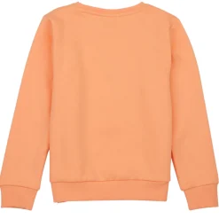 Name it - NKFLOFFINA LS SWE BRU PS