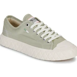 Palladium - PALLA ACE CVS