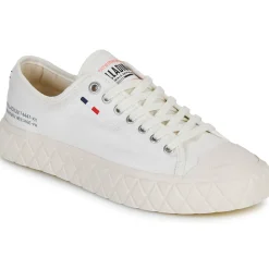 Palladium - PALLA ACE CVS