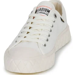 Palladium - PALLA ACE CVS