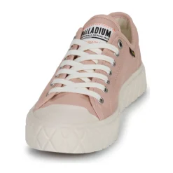 Palladium - PALLA ACE CVS ORG