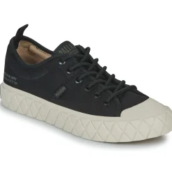 Palladium - PALLA ACE LO SUPPLY