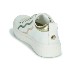 Palladium - PALLATEMPO 02 CVS