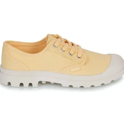 Palladium - PAMPA OX