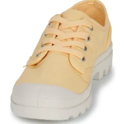 Palladium - PAMPA OX