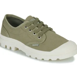 Palladium - PAMPA OXFORD