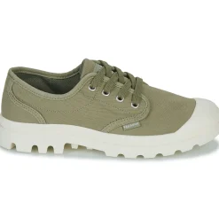 Palladium - PAMPA OXFORD