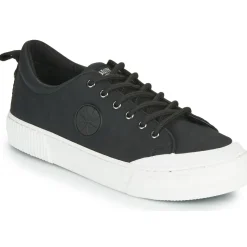 Palladium - STUDIO 02