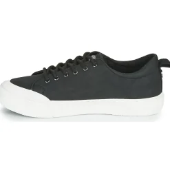 Palladium - STUDIO 02