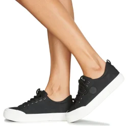 Palladium - STUDIO 02