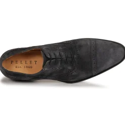 Pellet - ALEX