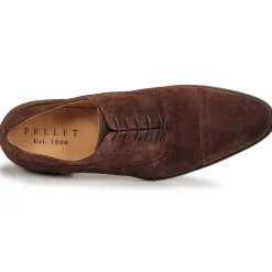 Pellet - ALEX