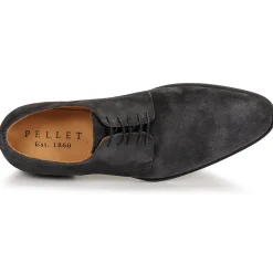 Pellet - ALIBI