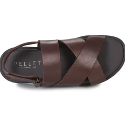 Pellet - ANGEL