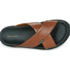 Pellet - FELIPE