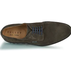 Pellet - Nautilus