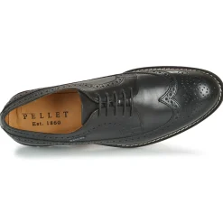 Pellet - NORMAN