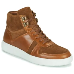 Pellet - ODIN