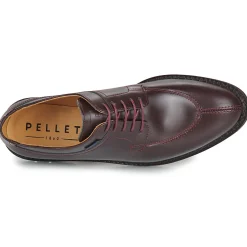 Pellet - VANESSA