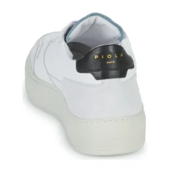 Piola - CAYMA