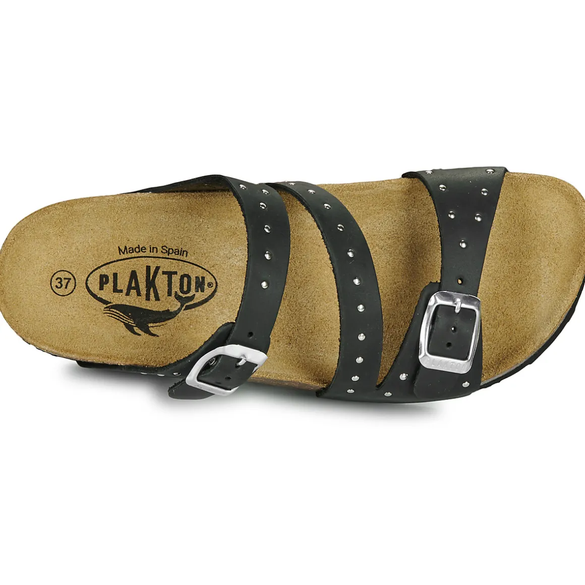 Plakton - CP BOLINO